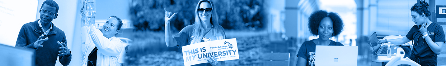 Florida Gulf Coast University banner